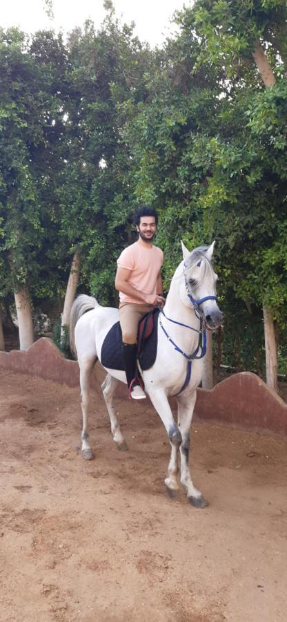 The Farm - Hotel & Horse Riding 카이로 외부 사진